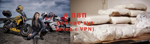 шишки Сосновоборск