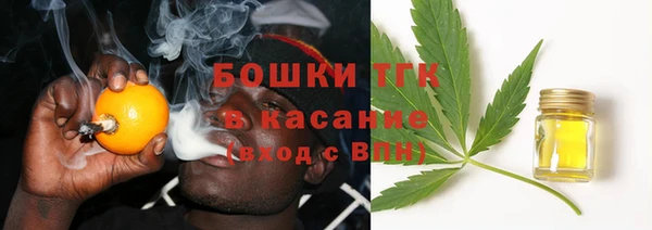 ГАЛЛЮЦИНОГЕННЫЕ ГРИБЫ Заводоуковск