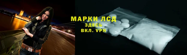 стаф Заволжье