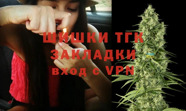 ГАЛЛЮЦИНОГЕННЫЕ ГРИБЫ Заводоуковск