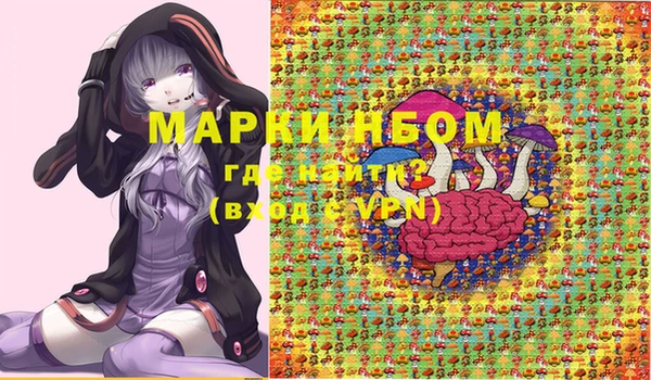 шишки Сосновоборск
