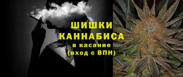 ГАЛЛЮЦИНОГЕННЫЕ ГРИБЫ Заводоуковск